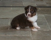 NARKO